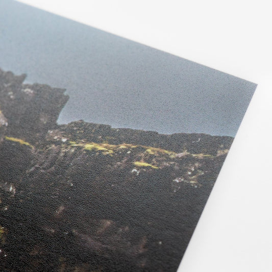 11x14 Archival Print